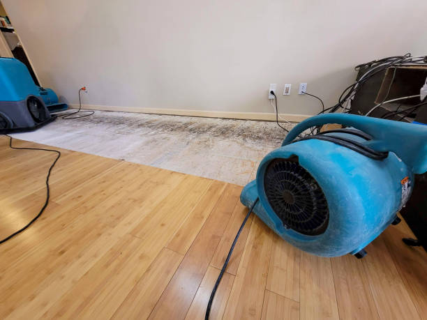 Professional Water Damage Repair technician working in Centerburg, OH
